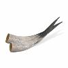 TL-92076-00        $81.50 pair

20" Sanded Longhorns